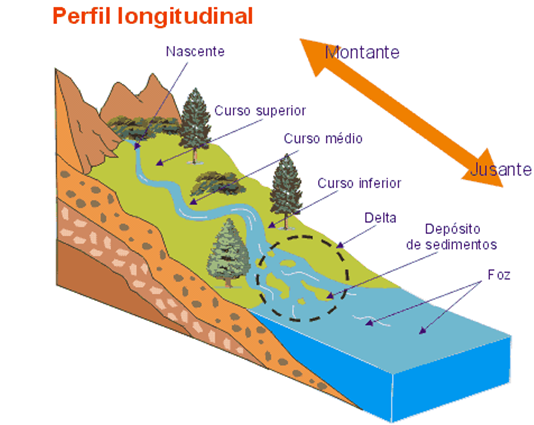 a montante e a jusante