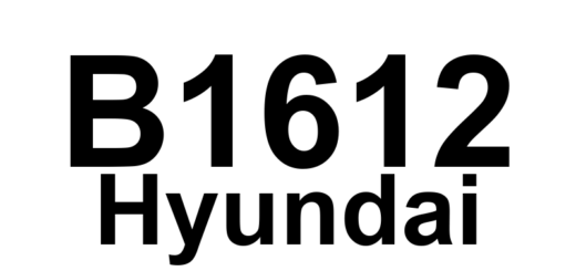 DTC B1612 Hyundai - Definição em inglês: RAM Communication Lost & Bus Failure Definição em Português: Comunicação com a RAM - Perda e Falha no Barramento