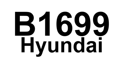 DTC B1699 Hyundai - Definição em inglês: CAN timeout between IPM and AV/AVN Definição em Português: Tempo de espera excedido na comunicação CAN entre IPM e AV/AVN.