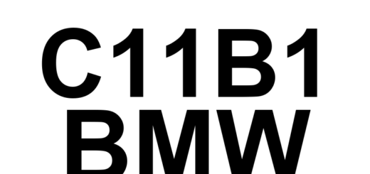 DTC C11B1 BMW - Definição em inglês: Restraints Control Module Hardware Error Definição em Português: Módulo de Controle de Retenção - Erro de Hardware