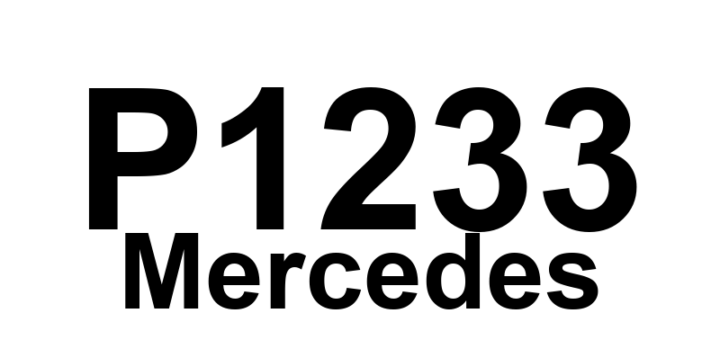 DTC P1233 Mercedes - Definição em inglês: Throttle valve actuator jamming (iced up) M16/6 Definição em Português: Atuador da válvula do acelerador - Travamento (congelado) (M16/6)