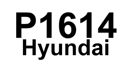 DTC P1614 Hyundai - Definição em inglês: Electronic Throttle System Module Malfunction Definição em Português: Módulo do Sistema de Acelerador Eletrônico - Mau Funcionamento