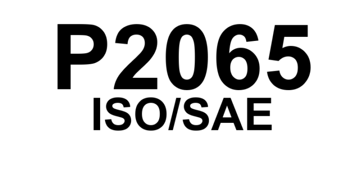 P2065 - "Sensor de Nível de Combustível 'B' - Circuito com Mau Funcionamento"