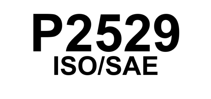 P2529 - "Sensor de Pressão do Reservatório de Vácuo - Circuito Intermitente"