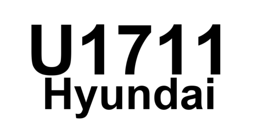 DTC U1711 Hyundai - Definição em inglês: DIS AMP Unit Amplifier stage group 2 Error - S/Woofer 2(+), 2(-) short circuit Definição em Português: Unidade Amplificadora DIS AMP - Erro no estágio do amplificador grupo 2 - Curto-circuito no Subwoofer 2(+) e 2(-)