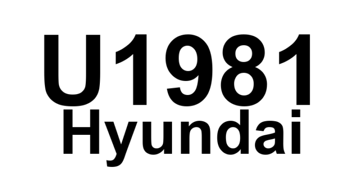 DTC U1981 Hyundai - Definição em inglês: DIS Timeout Multimedia CAN Message(Vehicle Speed) Definição em Português: Tempo de espera excedido para mensagem CAN de Multimídia (Velocidade do Veículo)