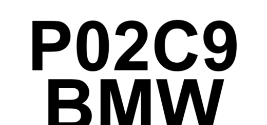 DTC P02C9 BMW - Definição em inglês: Cylinder 12 - Injector Leaking Definição em Português: Injetor do Cilindro 12 - Vazamento